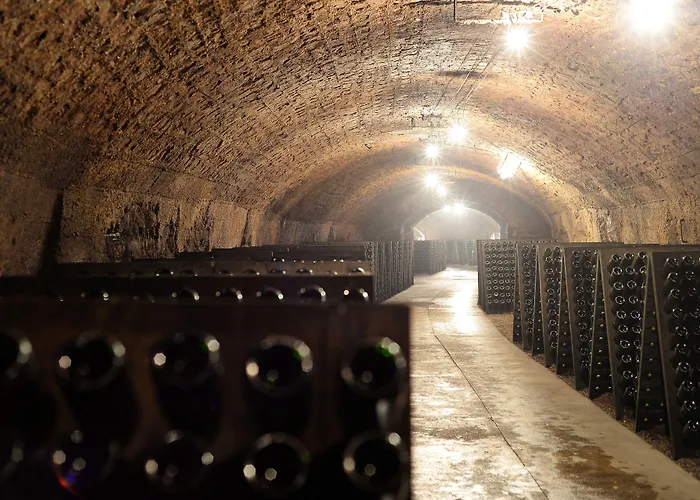 Hotel Doubletree By Hilton